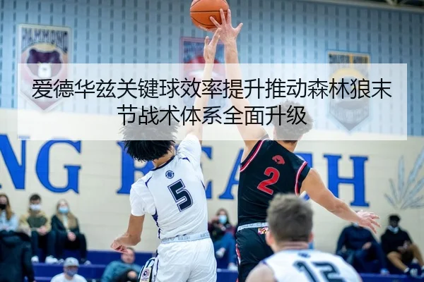 爱德华兹关键球效率提升推动森林狼末节战术体系全面升级